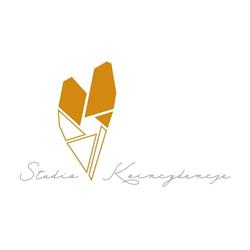 Studio Koincydencje
