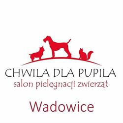 Psi Fryzjer Wadowice 'Chwila Dla Pupila' 888 081 322