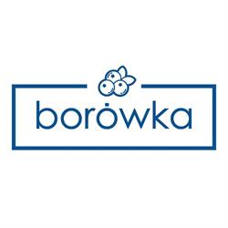 Borówka