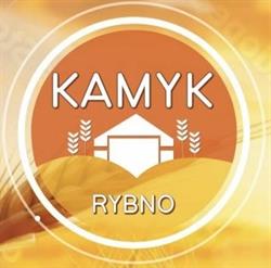 KAMYK RYBNO