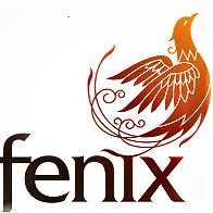 Fenix Parking Pyrzowice
