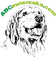 ABCzwierzaka.com