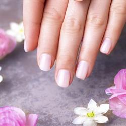 Salon Kosmetyczny Hollywood Nails