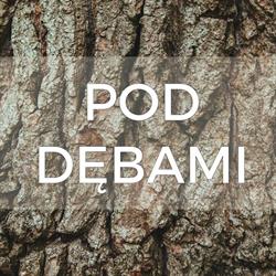 Pod Dębami - pokoje na Mazurach