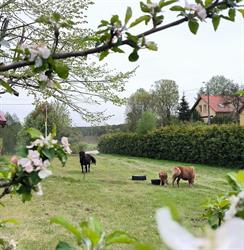 Agroturystyka Pod Pstrągiem