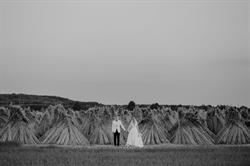 Tomasz Willmann Fotografia
