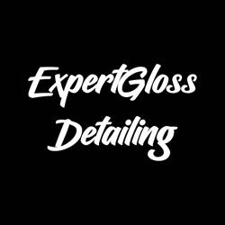 Expert Gloss Detailing