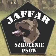 Szkolenie psów Jaffar Wejherowo