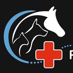 Przychodnia weterynaryjna AnimalVet