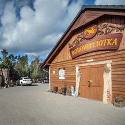 Borowa Ciotka