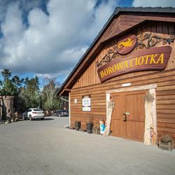 Borowa Ciotka
