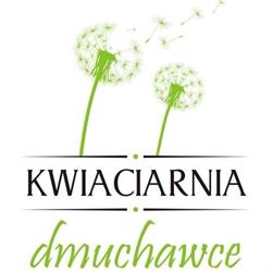 Kwiaciarnia dmuchawce