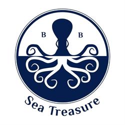 SeaTreasure - Wyjazdy nurkowe do Egiptu SSI PADI