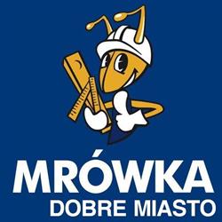 Mrówka Dobre Miasto