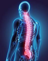 Kręgarstwo Terapia manualna Hirudoterapia Pijawki