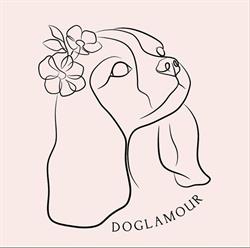 Doglamour Salon Strzyżenia Psów