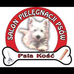 Salon Psia Kość
