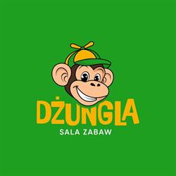 Dżungla - Sala Zabaw dla Dzieci - Gliwice