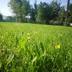 Agroturystyka Pod Świerkami Noclegi