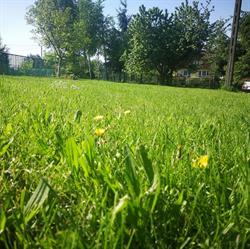 Agroturystyka Pod Świerkami Noclegi