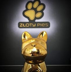 Psi Fryzjer - Złoty Pies - Salon pielęgnacji psów