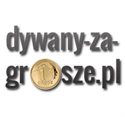 dywanyzagrosze.pl