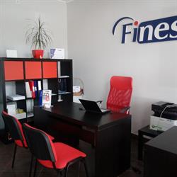 FINES