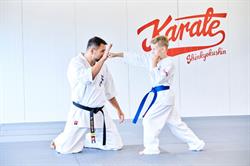 IPPON DOJO