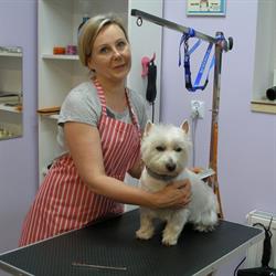 Pieskowo - Salon Fryzjerski Dla Psów