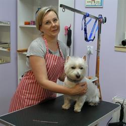 Pieskowo - Salon Fryzjerski Dla Psów