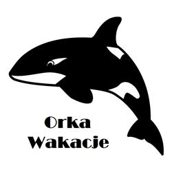 Orka wakacje