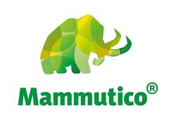 Mammutico