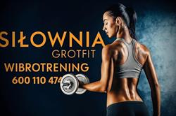 Wibrotrening Siłownia