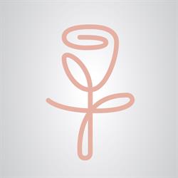 ROSE GOLD Studio Urody