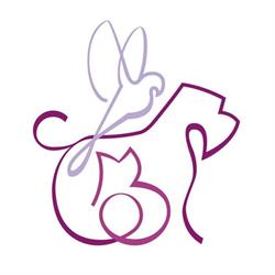 Skinvet Gabinet Weterynaryjny Anna Konik