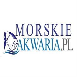morskieakwaria.pl