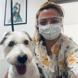 Dogue Grooming Salon
