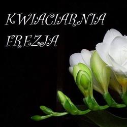 Kwiaciarnia Frezja Poniec