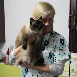 Misiakvet Justyna Misiak Gabinet Weterynaryjny