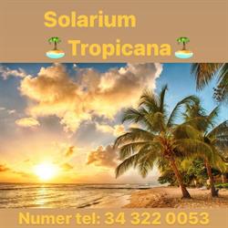 Solarium studio Tropicana
