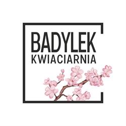 Kwiaciarnia Badylek