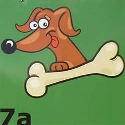 Schronisko dla zwierząt Małe Boże