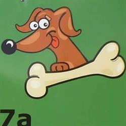 Schronisko dla zwierząt Małe Boże