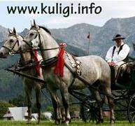 Kuligi.info