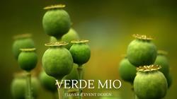 Verde Mio Pracownia Florystyczna