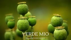 Verde Mio Pracownia Florystyczna