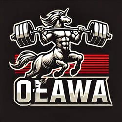 Siłownia OSTAP Team - Power Fitness