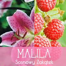 Malila