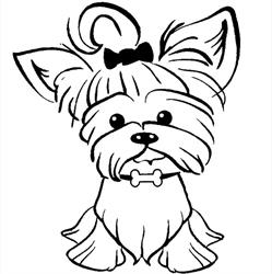 Psi Fryzjer Glamour Dogs