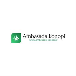 Ambasada Konopi